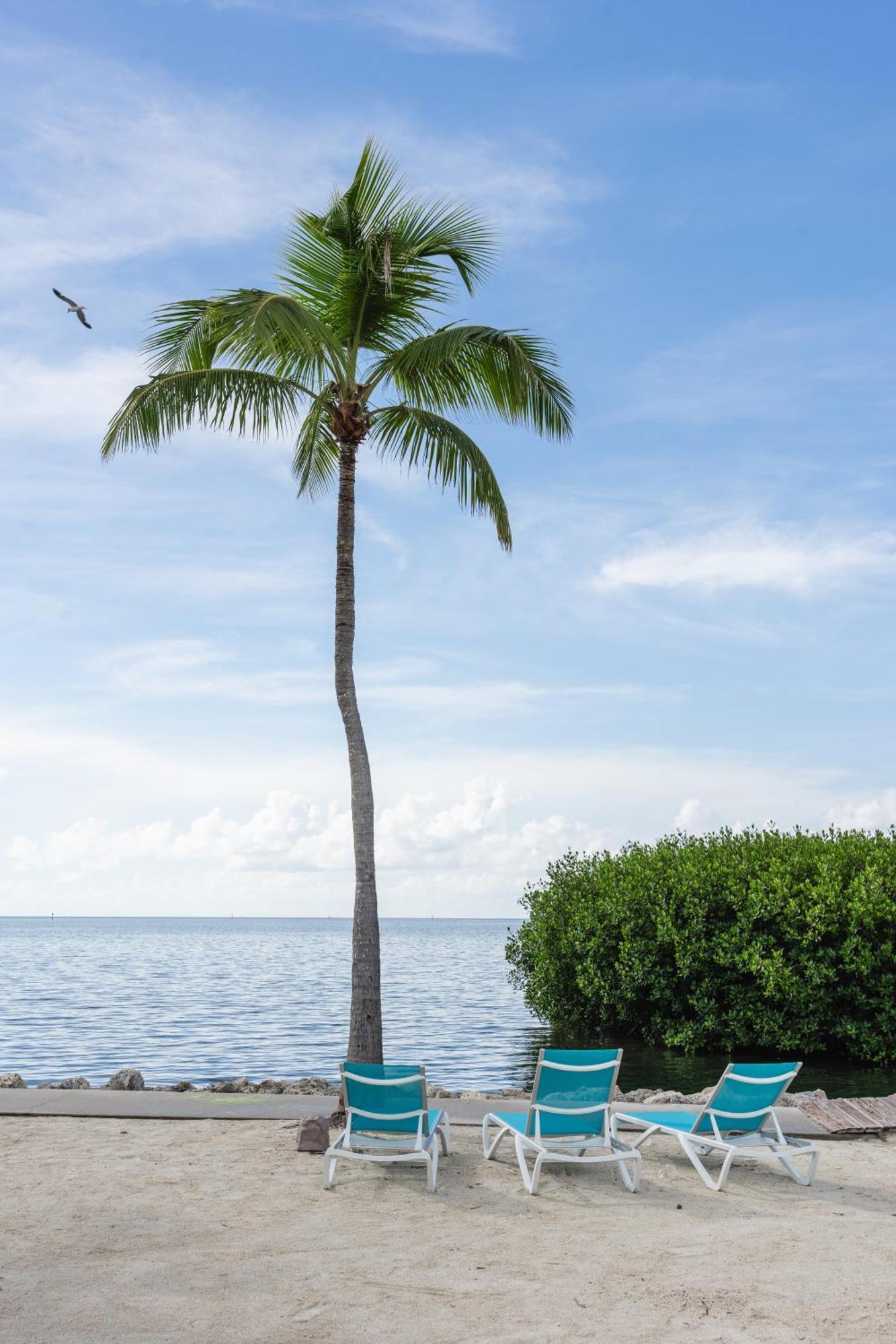 Fisher Inn Resort & Marina Islamorada Ngoại thất bức ảnh